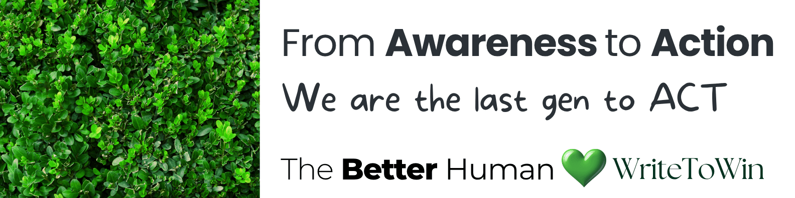THE BETTER HUMAN™ LIFE FOUNDATION photo 2